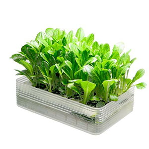 rOt@[ ~jk؉LbgBL xr[CNA 22×15×6cm yg킸AƉt̔엿ňĂ鐅k͔|Lbg LFS-326