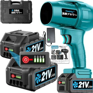 u[  ́y2025VŃf ziKϑ PSEF cʕ\ 3000mAheʃobe[ 2 y R[hX ^ ŋ u[ [d }L^dr݊ 180000RPM dGA_X^