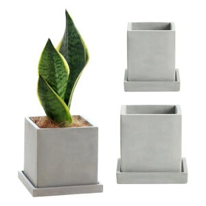 iikuru Aؔ  v^[ Zbg ϗtA Zg  A T{e