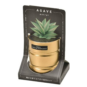 V| ʔN ƒ؉ ȒP ͔|Lbg T{e p[z[`GVX ͔|Zbg (R) AKx a10×16.5cm A I[C S[h GD-101801