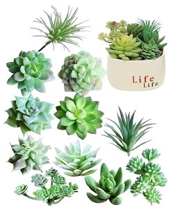 S.fields.inc lHAZbg  ~j lHϗtA tFCNO[ T{e  UA (S)