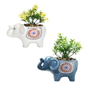 Aؔ  T{e A v^[  Jo[ ϗtA ^Ap   u (zCgAu[)