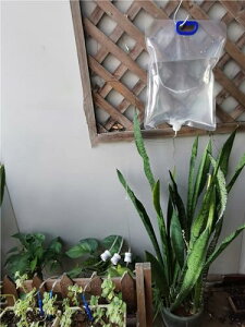 yBEAUTY PLAYERz蓖  A  Lbv ʒ߉\ 3̐o _H 5.2L e EH[^[ obO stbN t      o s |