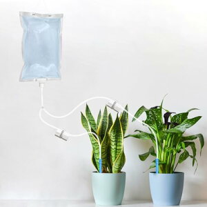 yBEAUTY PLAYERz蓖  A  Lbv ʒ߉\ 2̐o _H 2L e EH[^[ obO 璆̐ o s | Aؔ ϗtA K