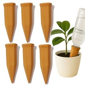 HWSHOW   A     s݂S  ybg{gΉ } A 7-15p 戵t 6{