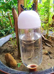 ifukensifukens  A 蓖 傤   ƒp Up Lbv EH[^[{g 󐅑u c[ _H Aؔ   