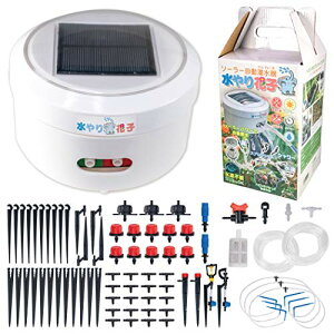 FUNKS Ԏq dsv XvN[ ^C}[ \[[  U mY ^C}[ 1T