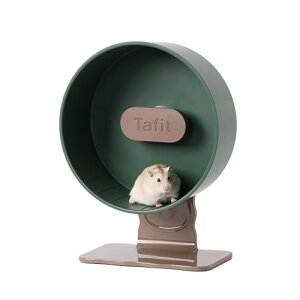 Tafit nX^[ 񂵎 n[j[zC[  É׃AO\ ߉\ NAJ[ nX^[EW[rEp (, 22cm)