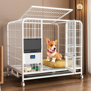 a L  ^C}[@\ ybga@ 莞 P[Wt^Cv a@ ^ Lp 2.3Le 14H 2WAYd 莞 蓮a ȒP