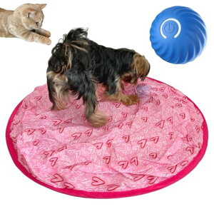 FOily TOily   {[  L L  d{[ قق V[g  USB[d ^ ^s XgX (n[g)