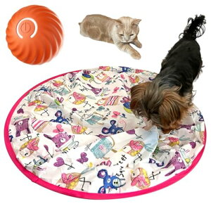 FOily TOily   {[  L L  d{[ قق V[g  USB[d ^ ^s XgXiSweetAj}Y)