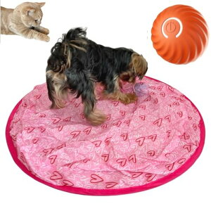 FOily TOily   {[  L L  d{[ قق V[g  USB[d ^ ^s XgX (n[g)