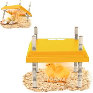 qRpMv[g 15H p qRq[^[ Epx߉\ T[X^bg 琗M Ђ悱pۉq[^[pl ȃGl É݌v Ђ EY q[^[ ۉ ABS (USv