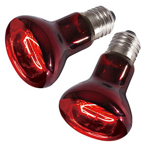 2 q[gO[ 75W ঒ޗpq[^[Cg ԊOƎ˃X|bgv ঒ ޗp