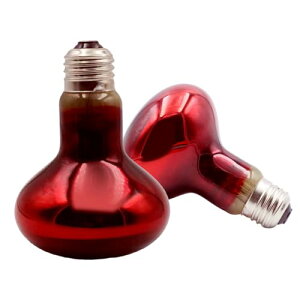 �q�[�g�O���[ 2�g �ԊO���Ǝ˃X�|�b�g�����v 50W���錓�p ঒��� �����ޗp �ԊO���ۉ������v ঒��� �����ޗp �[�w���M&���x�Ή�