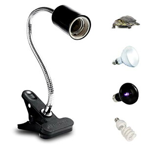 Bonheur ঒ރCgX^h OCg\Pbg NbvX^h  T Jiwr NK gJQ E26