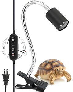 ShiawaseforU ঒ރCgX^h OCg\Pbg ^C}[ NbvX^h  T Jiwr NK gJQ E26 iK (莞^Cv)