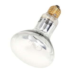 GL]e GEX EXOTERRA \[[O[UV 80W PT2334 UVB&oXLOCg p Toiɐ钋s঒