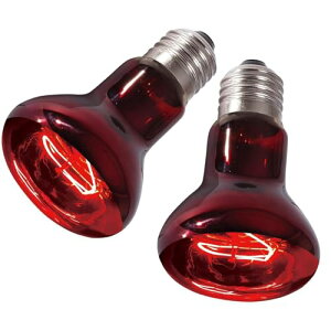 Life2LN ԊOƎ˃X|bgv ۉł ঒ Ԃ g[Cg ঒ޕۉ Md ঒ށEJEp ঒ޒg[Cg 75W 2