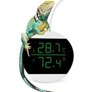 CANPLUS xv xv ঒  xxv fW^ xv x xǗ ybg{^t LEDfBXvC 玺 eE lԗpI[P[ ^ (zCg)