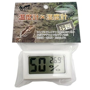 AGONOSUKE xv×xv ঒ qEgJQhL tgASqQgJQ (zCg)