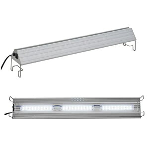 AN TRIANGLE LED VIVID 600 琬 Ɩ  Mы ANAE Cg 60cm ʓr