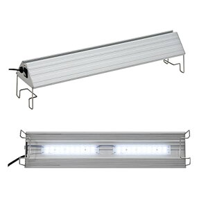 AN TRIANGLE LED VIVID 450 琬 Ɩ  Mы ANAE Cg ʓr