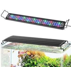 DEWEL  Cg p Ɩ ledCg ANAECg h ^C} [t  琬 Mы Ϗ܋  3̏Ɩ[h 10iK邳 (L)