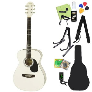 LEGEND FG-15 White AR[XeBbNM^[S12_Zbg WFh