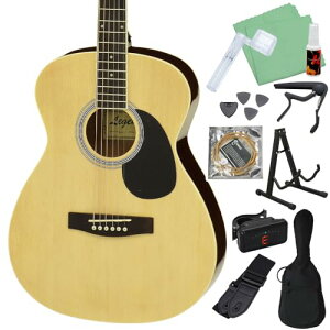 LEGEND FG-15 Natural AR[XeBbNM^[S҃Zbg12_Zbg i` WFh