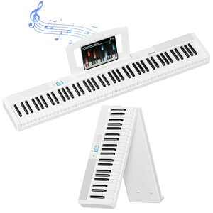 TERENCE dqsAm 88 ܂ ^b`X|X 5WfAXs[J[ MIDIΉ L[{[h sAm [d\ y^t RpNg gѕ֗ KɃsb^ {戵t