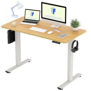 FLEXISPOT dX^fBOfXN(120×s60,[@\t) ~fXN ߃fXN p\RfXN lԍHw Q[~OfXN EF1 Zbg (ij{ViCvj, 120*60)