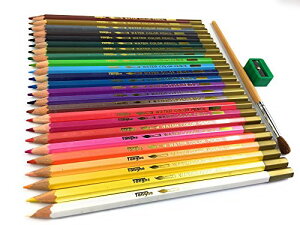 FM ʐFM 24F MEMt ʉ扔M