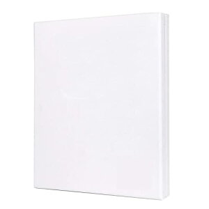 F6 2 Zbg LoX LoX LoX canvas GEANGɓKp (410mm*318mm*2)