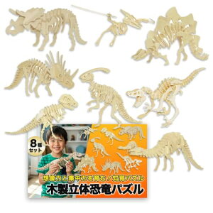 Nicheez ̃pY 3D ؐ gݗăLbg  8Zbg CeA ͌^ m Mtg