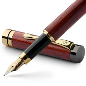 [Y[XubNō̃v~AؐNM - NXgi[YEbhj| 6{̖NMCNJ[gbWiubNu[j | 24KS[hdグ | 18KS[hbL̃~fB