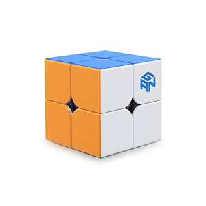 GAN 251 V2, 2x2 Xs[h Zp K L[u 51mm SҌ (XebJ[X)