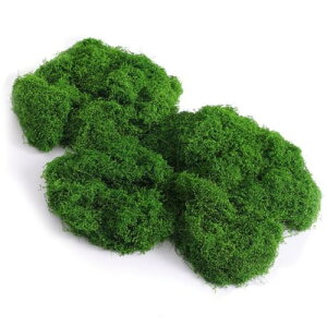 Kachar lH tFCNX tFCNO[ WI} A i` 100g p 뉀 ͌^