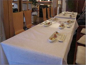 sDz Ɩp ĝăe[uNX uG[v(1100mm×100m)