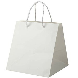 ㎆  }`L  L[u^ ۂЂ [/n/10] Ă 񂰎 y[p[obO (P[L/uC_/v[g/p) Q-250 280x250x280