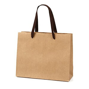 ��㎆�� ��񂰎��� ���n �N���t�g [1�Z�b�g10��] ���� �N���t�g�o�b�O ���� �y�[�p�[�o�b�O ���� K�N���t�g K-260 (260x90x210mm)