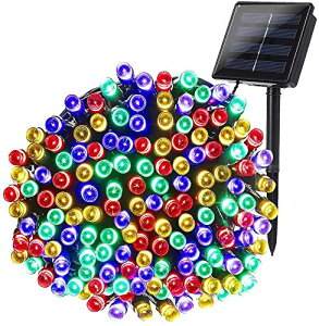 SUCCUL C~l[V \[[ O h LED NX}X Cg XgOCg 200 20m Rg[[t