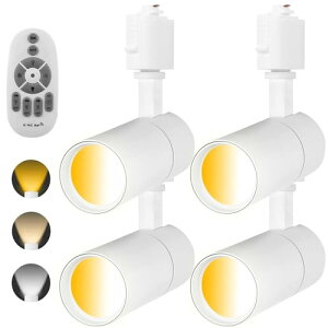 CeBO[pX|bgCg100W  F Rt dFFF d10W 1000LM,Ǝˊpx߉\,2.4GHzuC30/60x݃^C}[ 铔