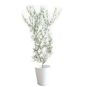 I[u̖ ϗtA { CeA zCgZA[g 8 ^ ^