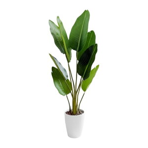 RAKU tFCNO[ ϗtA tFCN^ 125 cmp  Vv ItBX  CeA ^ t  lH j ̓ (l̖ 125 cm)