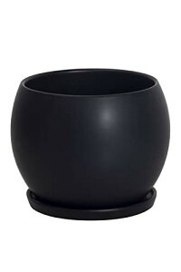 Ekirlin Aؔ 픫   󂯎Mt 5  v^[ A ϗtA t k   CeA  13cm