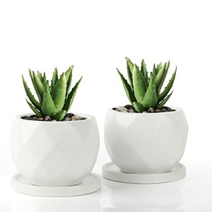 Umlaca A   T{e   ~jAؔ  ^ Aؔ 퐻gCAlbgt 2_Zbg v[g AȂ(zCg)