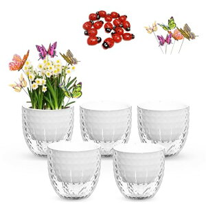 11CM v^[ Aؔ vX`bN 5Zbg ϗtA   ʋ Rt O  A n[u ԍ͔|(11cm×5j