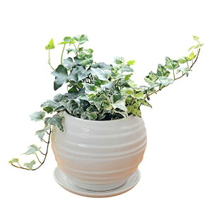 t[R[|[V ACr[ wf ϗtA 3ފ񂹐A {[`픫