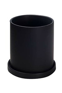 Ekirlin Aؔ 픫  󂯎Mt ꌊ 15.7cm 6 ?F ϗtA  v^[ A k   CeA 